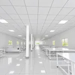Cho thuê nhà xưởng và nhà ở Bình Chánh 1300m2 - Ảnh thu nhỏ 3
