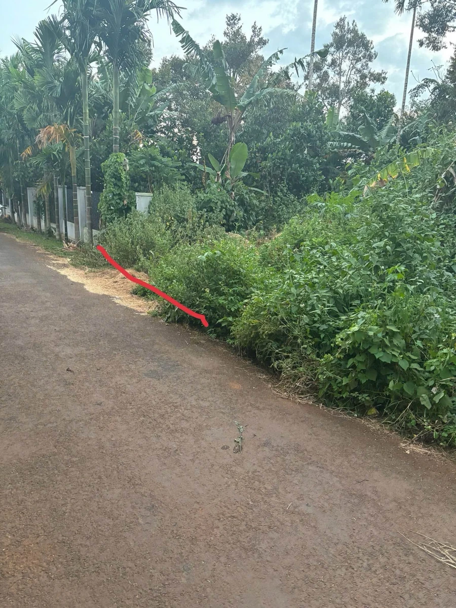 Bán đất Trục B4 Buôn EaNao B 150m² 1 tỷ 870 triệu - Ảnh thu nhỏ 3