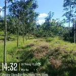 Bán 1.6 ha cao su tại Đồng Phú, Bình Phước, giá 1 tỷ 6 - Ảnh thu nhỏ 3