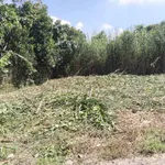 Bán 3 nền đất giá rẻ view sông Mỹ Thuận Vĩnh Long 47-78m² - Ảnh thu nhỏ 3