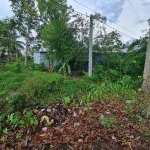 Bán đất giá rẻ Thị Trấn 1 Ngàn - Ảnh thu nhỏ 4