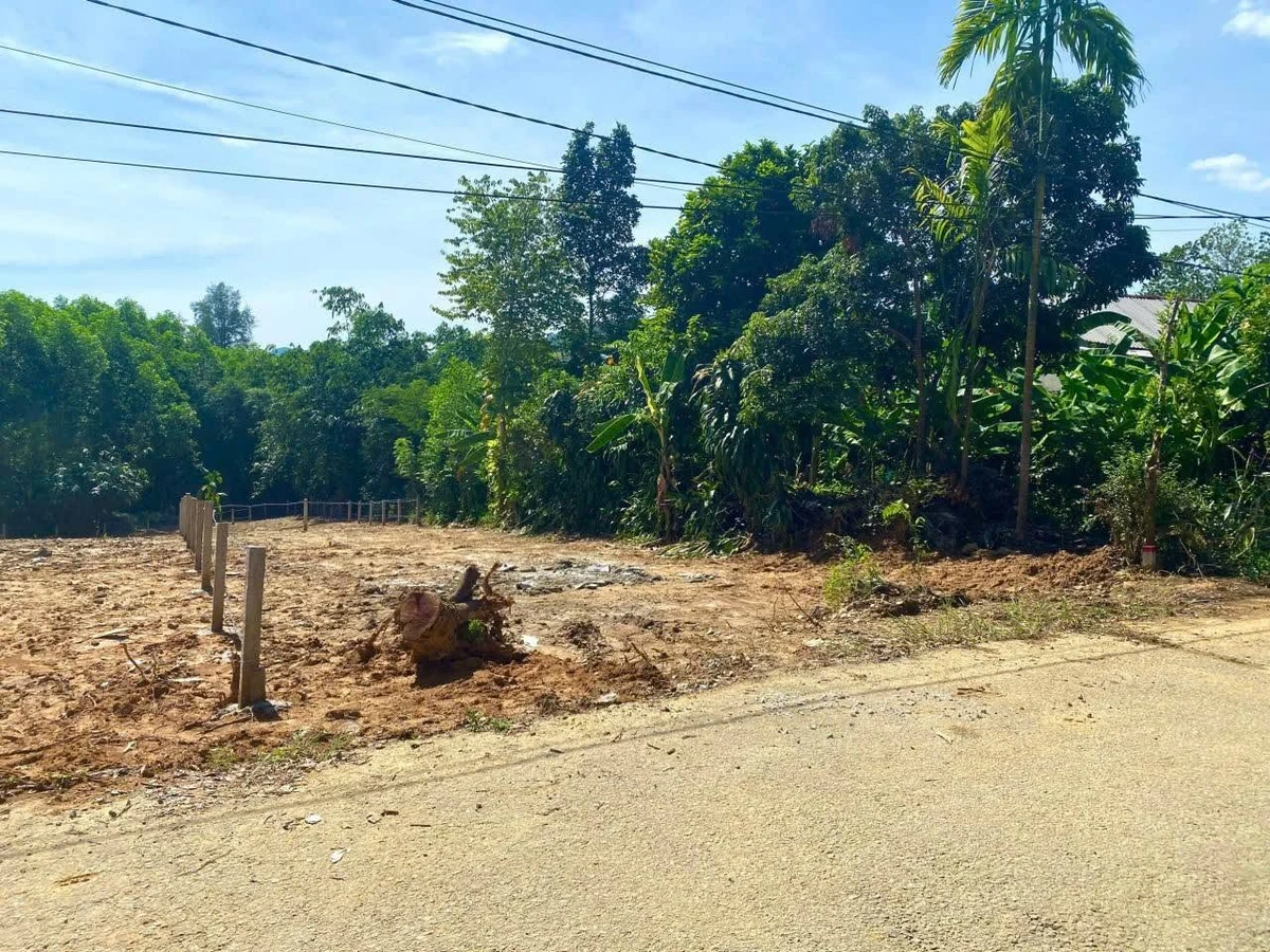 Bán đất mặt tiền Phú Lợi, Bình Điền, TP Huế 273m², 840 triệu - Ảnh thu nhỏ 2