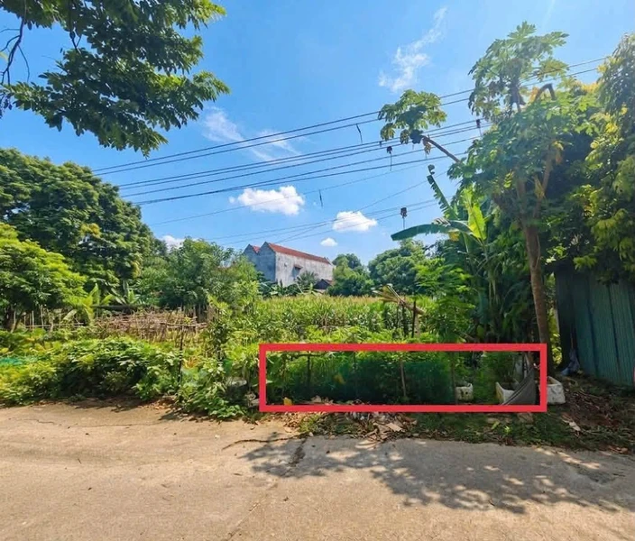 Bán đất 117m² Phượng Lâu Việt Trì giá 1 tỷ