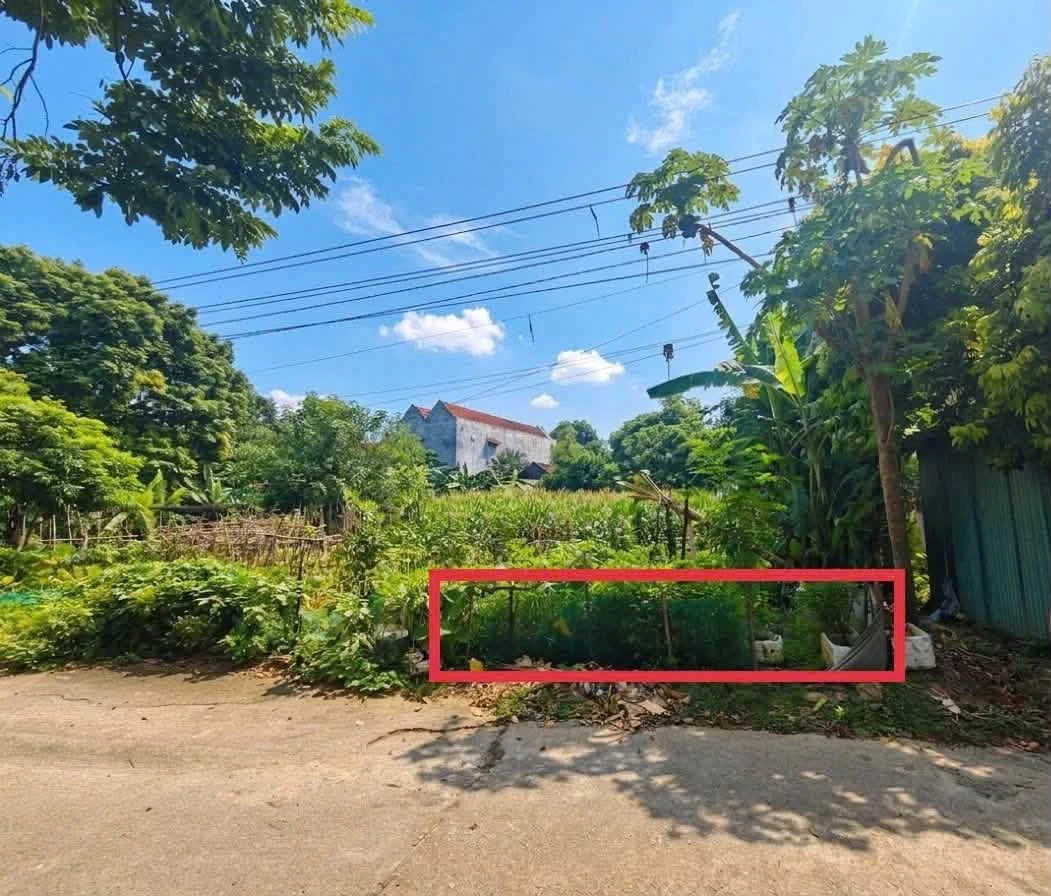 Bán đất 117m² Phượng Lâu Việt Trì giá 1 tỷ - Ảnh 1