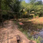 Bán 5ha đất nhà vườn Đồng Xoài, có suối, sinh thái - Ảnh thu nhỏ 1