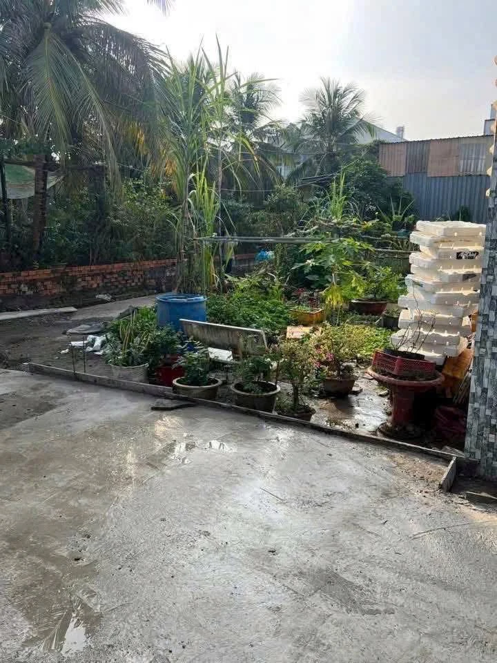 Bán nền đất 43.2m² Long Hương Cần Thơ - Ảnh thu nhỏ 2