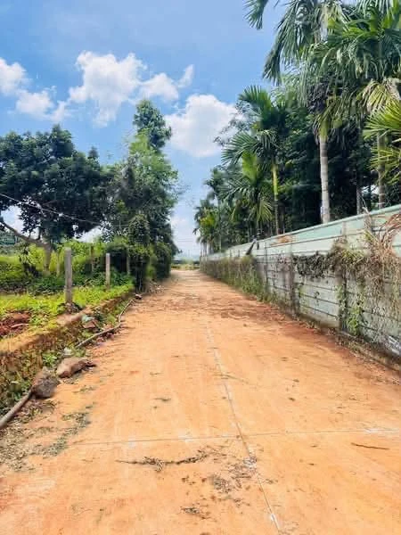 Bán đất hẻm Võ Nguyên Giáp 5x27m, 1.7 tỷ Buôn Ma Thuột - Ảnh thu nhỏ 2