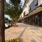 Nhà hai mặt tiền trung tâm phố - đã xây dựng xong - sổ sẵn đã hoàn công - sẵn hợp đồng thuê - Ảnh thu nhỏ 4
