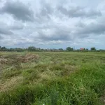 Bán lô đất 500m² ở Lâm Đồng, sát KDC An Phước Riverside - Ảnh thu nhỏ 3