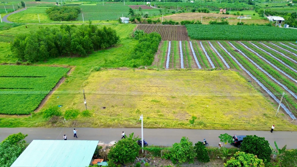 Bán đất mặt tiền 150m² Quảng Phú, Tân An, BRVT - 560 triệu - Ảnh thu nhỏ 5