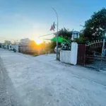Bán lô đất Xuân Đông Hải Phòng 96m2, sổ hồng chính chủ - Ảnh thu nhỏ 1