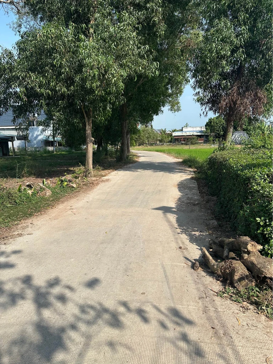 Bán đất Đức Hòa Long An 379 m² sổ hồng riêng - Ảnh thu nhỏ 2