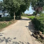 Bán đất Đức Hòa Long An 379 m² sổ hồng riêng - Ảnh thu nhỏ 2