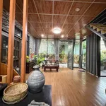 Cho thuê nhà vườn kinh doanh mặt tiền 8x22m Trảng Dài - Ảnh thu nhỏ 2