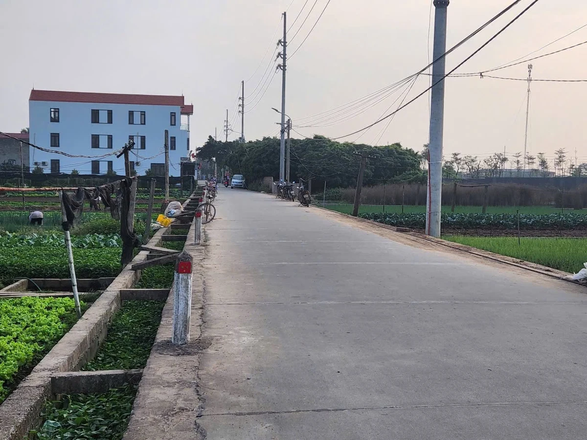 Bán đất mặt chợ 255m² Chương Dương Hà Nội 1,2 tỷ - Ảnh thu nhỏ 4