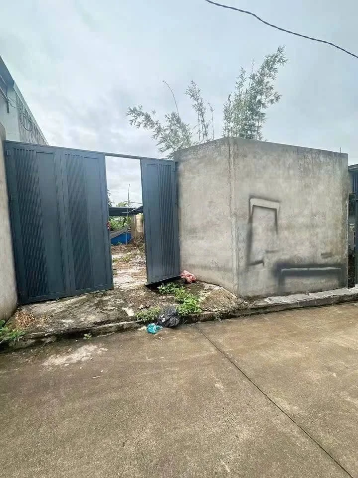 Bán lô đất nông nghiệp 135m² hẻm Nguyễn Cơ Thạch Quận 12 - Ảnh thu nhỏ 3