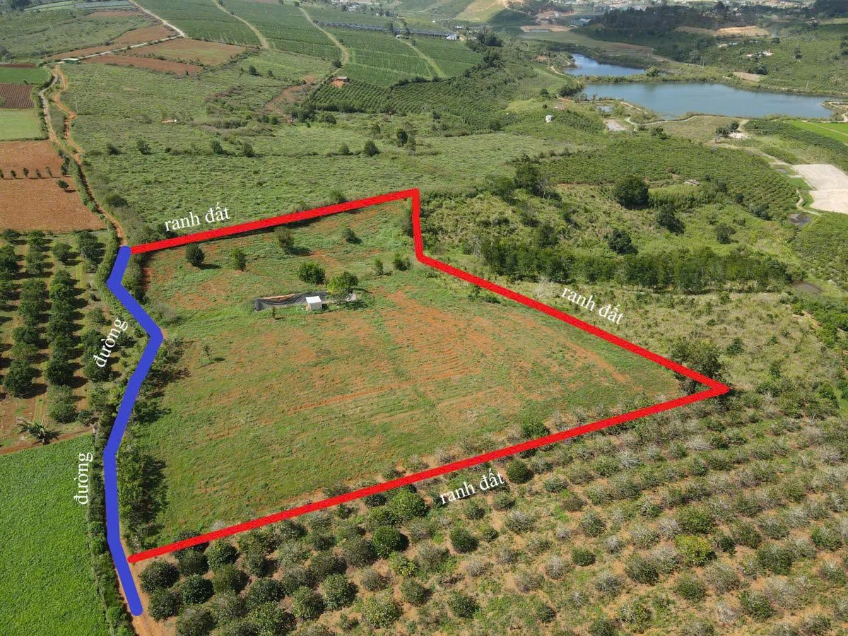 Bán đất 13.000m² Đức Trọng, Lâm Đồng, sổ hồng - Ảnh thu nhỏ 3