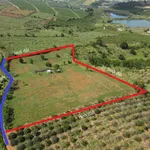 Bán đất 13.000m² Đức Trọng, Lâm Đồng, sổ hồng - Ảnh thu nhỏ 3