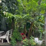 Bán đất liền kề đảo Kim Cương Long Thuận 51.3m2 giá 2.8 tỷ - Ảnh thu nhỏ 3