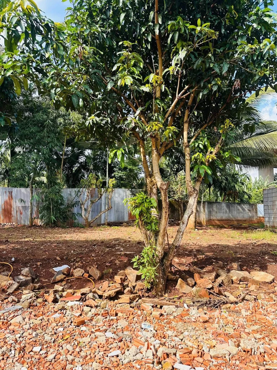 Bán đất hẻm 106 Nguyễn Du Buôn Ma Thuột 1.070m² giá 4,6 tỷ - Ảnh thu nhỏ 2