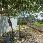 Bán nền thổ cư 80m2 lộ 3m Rạch Ông Cò, Cần Thơ 490 triệu - Ảnh thu nhỏ 4