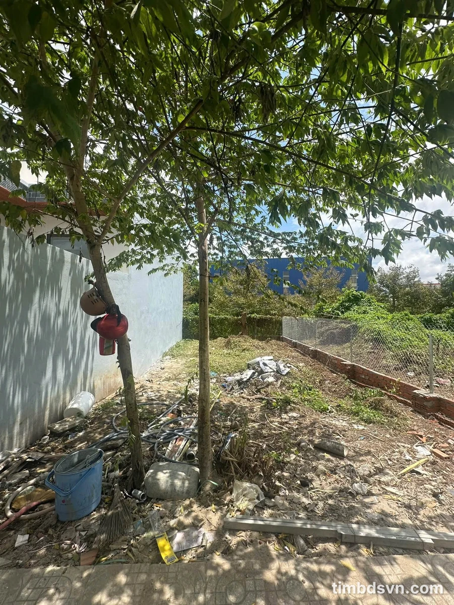 Bán nền thổ cư 80m2 lộ 3m Rạch Ông Cò, Cần Thơ 490 triệu - Ảnh thu nhỏ 4