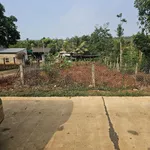 Lô đất 10x40m thổ cư 70m2. Mặt bê tông. Khu dân cư Eaning, Cukuin hiện hữu. Giá 399tr. 0971 801 *** - Ảnh thu nhỏ 1