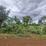 Bán 2 lô đất chân dài VIP 5×60 m² Km42 QL26 - Ảnh thu nhỏ 2