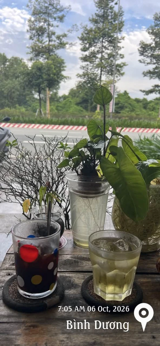 Bán đất 1000m² đường xe tải gần VSIP 2A, Bình Dương 2 tỷ 750 - Ảnh 1