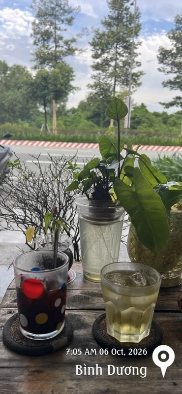 Bán đất 1000m² đường xe tải gần VSIP 2A, Bình Dương 2 tỷ 750