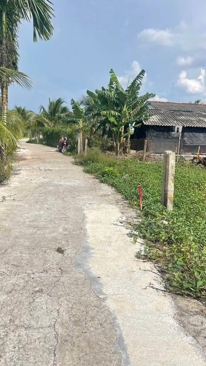 Bán đất thổ cư 5x38m giá 350 triệu tại Hiệp Thạnh, Châu Thành, Long An - Ảnh 1