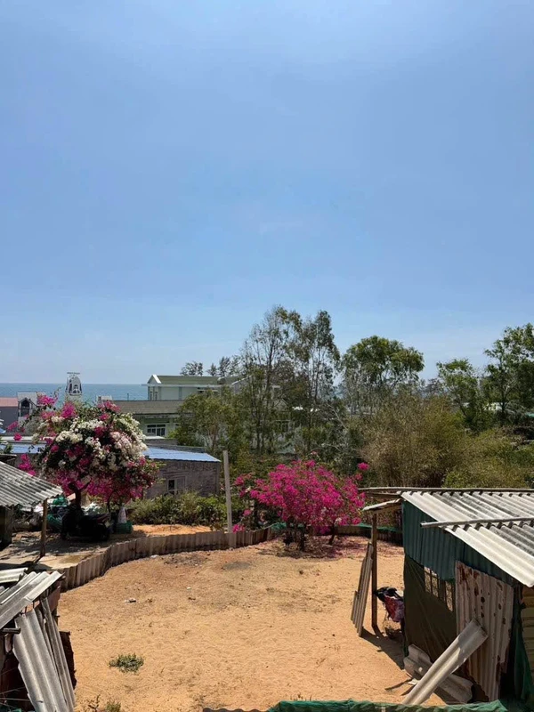 Bán đất gần biển 234m² Tiến Thành 1,2 tỷ