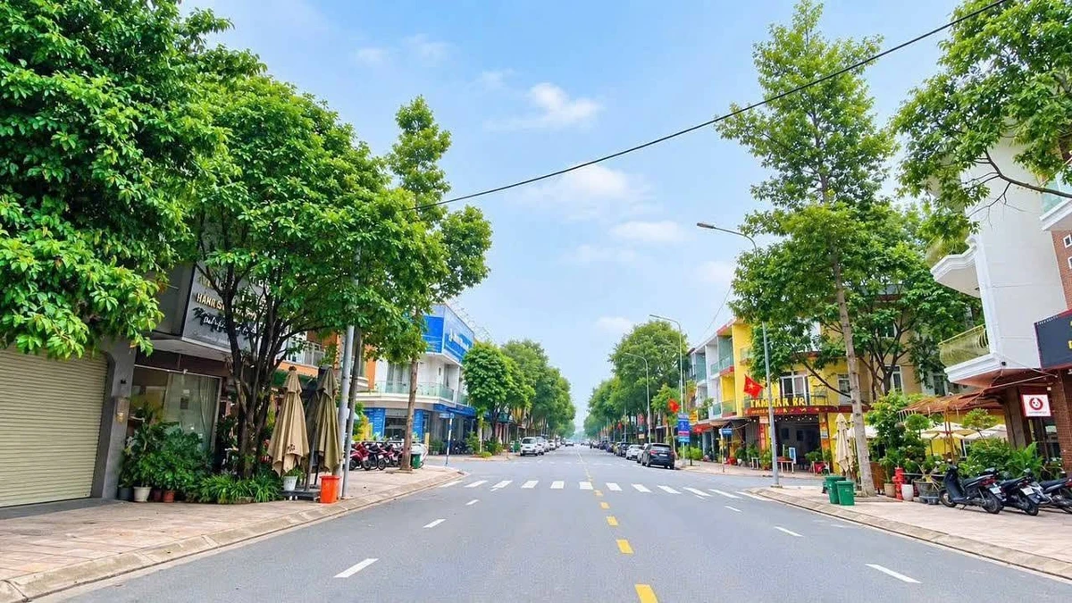 Bán 2 căn nhà liền kề 202,5m² Võ Thị Sáu Biên Hòa 25,5 tỷ - Ảnh thu nhỏ 4