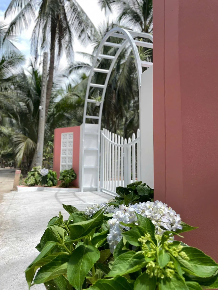 Bán đất vườn 150m2 có 100m2 thổ cư, đủ cây ăn trái, giá 295 triệu tại Tân Phú Đông, Tiền Giang - Ảnh thu nhỏ 2