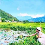 Biệt thự view cánh đồng 900m² Hoà Vang Đà Nẵng 5 tỷ - Ảnh thu nhỏ 1