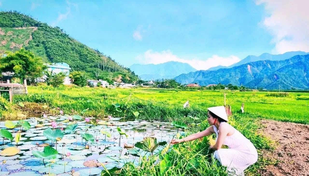 Biệt thự view cánh đồng 900m² Hoà Vang Đà Nẵng 5 tỷ - Ảnh 1
