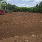 Bán đất nền 186m² tại xã Xuân Đông, Đồng Nai - Ảnh thu nhỏ 3