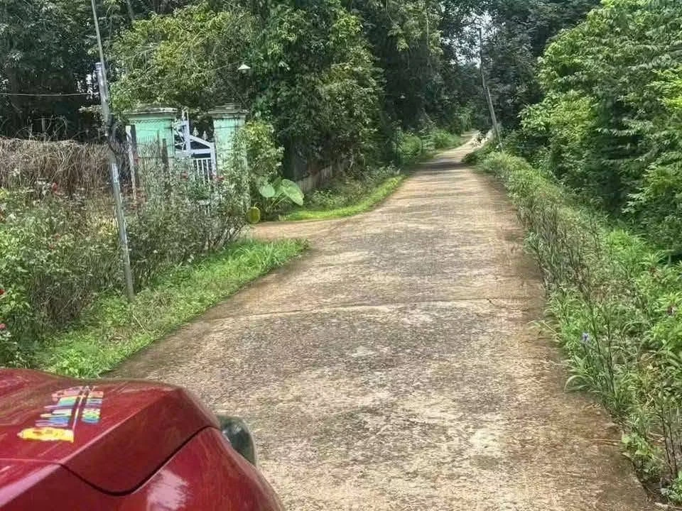 Bán đất 2000m² Phường An Lộc, Đồng Nai gần QL13 - Ảnh thu nhỏ 2