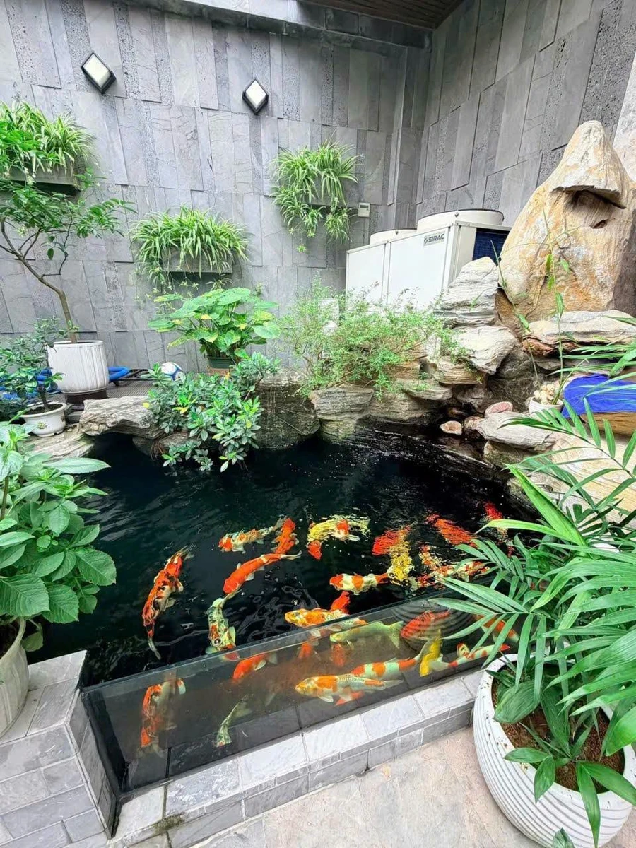 Bán biệt thự 320m² 4 tầng có bể bơi Hải Phòng - Ảnh thu nhỏ 2