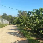 Bán đất 1,2 ha mặt tiền Gia Nghĩa, Lâm Đồng, 5,5 tỷ - Ảnh thu nhỏ 5