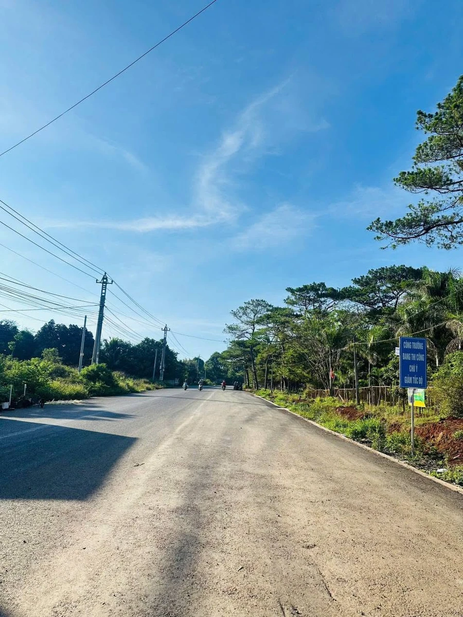 Bán đất 2 mặt tiền đường 19/5, 1000m2, Bình Chánh, 14 tỷ - Ảnh thu nhỏ 3