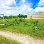 Đất phường Gò Dầu 5x27m full thổ cư 470tr, sổ hồng riêng đường ô tô thông - Ảnh thu nhỏ 2