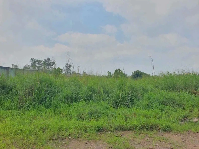 Bán đất góc 2 mặt tiền 1000m² Thiện Tân Vĩnh Cửu Đồng Nai