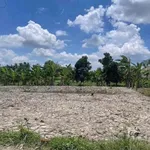 Bán đất vườn 1540m² Vĩnh Công Tây Ninh 990 triệu - Ảnh thu nhỏ 4