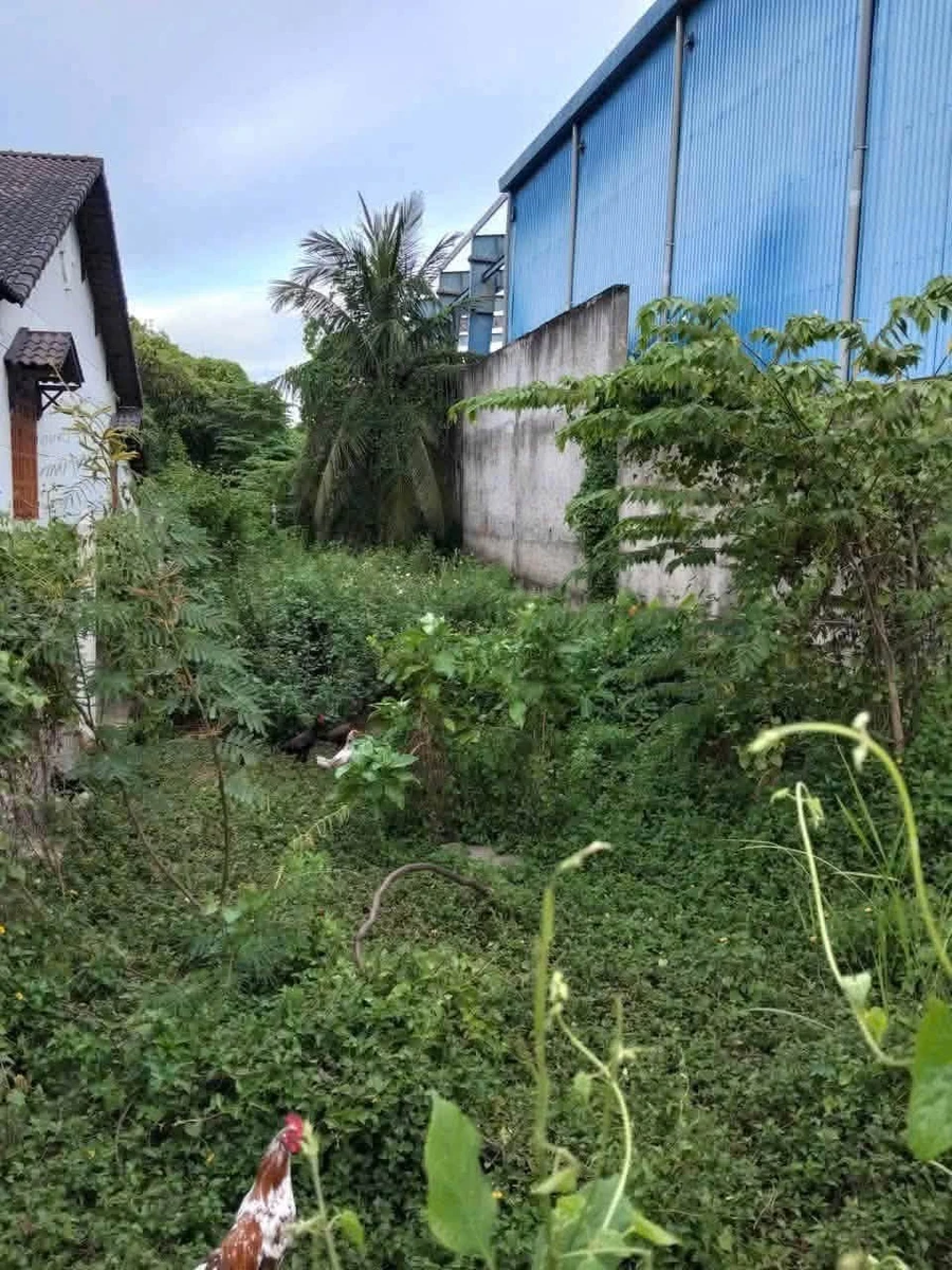 Bán đất mặt tiền An Thạnh, Nhà Bè 203m2 - Ảnh thu nhỏ 3