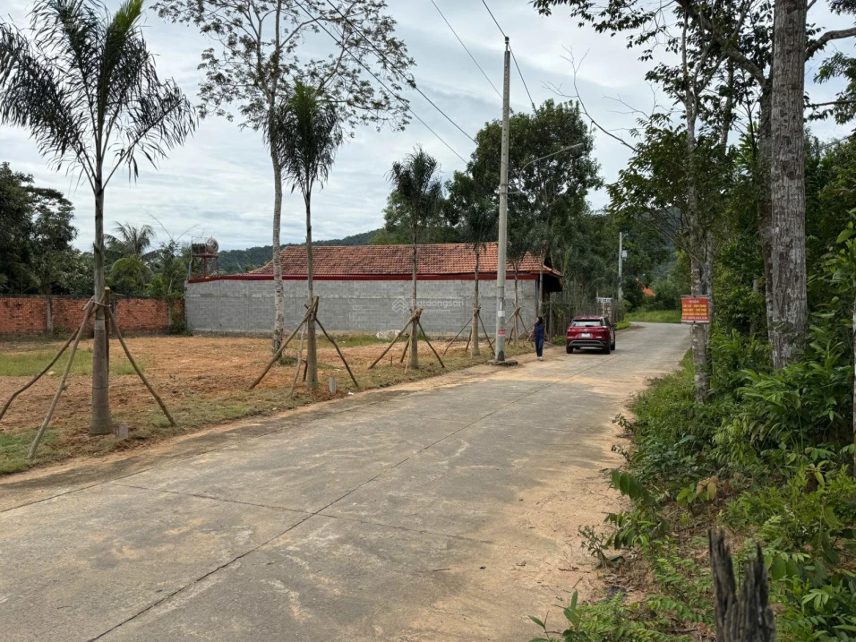 Bán đất 110m2 có thổ cư mặt đường khu Tượng, gần đường lớn. Giá chỉ 1,6 tỷ - Ảnh thu nhỏ 4