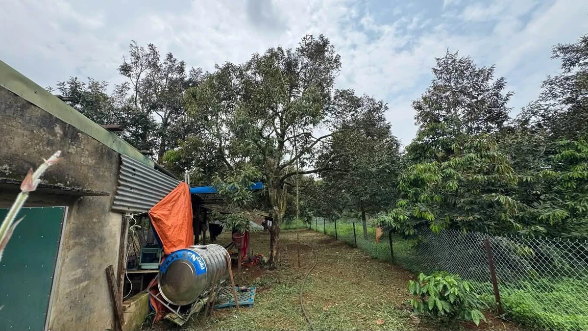 Bán đất 10x30m (300m²) đường nhánh song song QL26, xã Krông Pắc, Đắk Lắk, giá 2,99 tỷ - Ảnh thu nhỏ 3