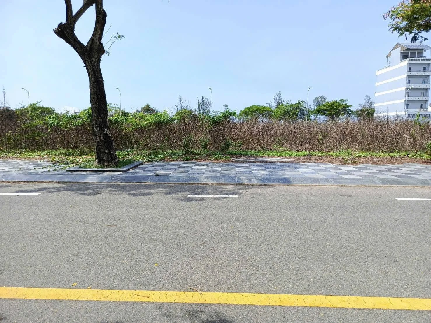 Bán đất thổ cư 140m² Ocean Dunes Phan Thiết 7 tỷ - Ảnh 1