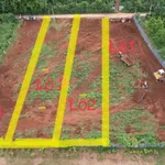 Bán đất làm nhà vườn 540m2 giá 480 triệu tại Phường Tân Lập, Đắk Lắk - Ảnh thu nhỏ 2