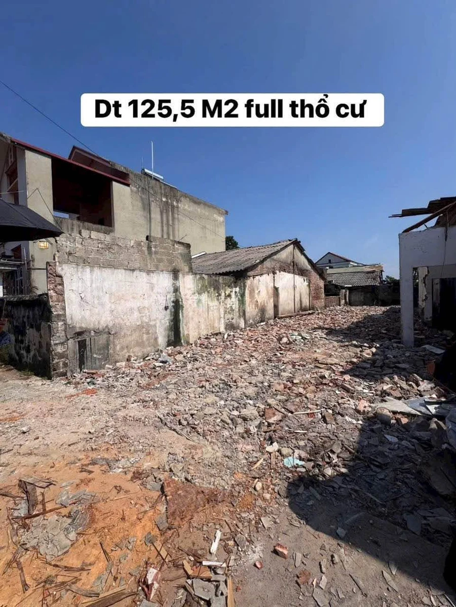 Bán đất chính chủ 125,5m² tại Xuân Lũng, Phú Thọ giá từ 500 triệu - Ảnh thu nhỏ 5